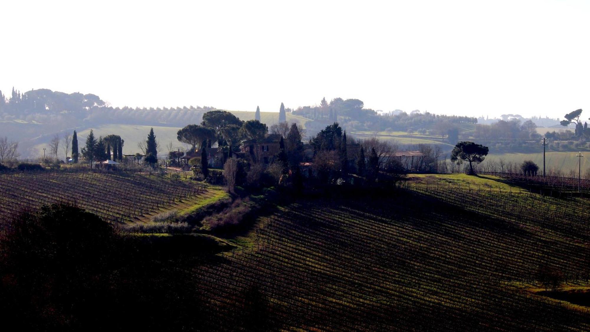 Agriturismo La Terra Valiano Luaran gambar