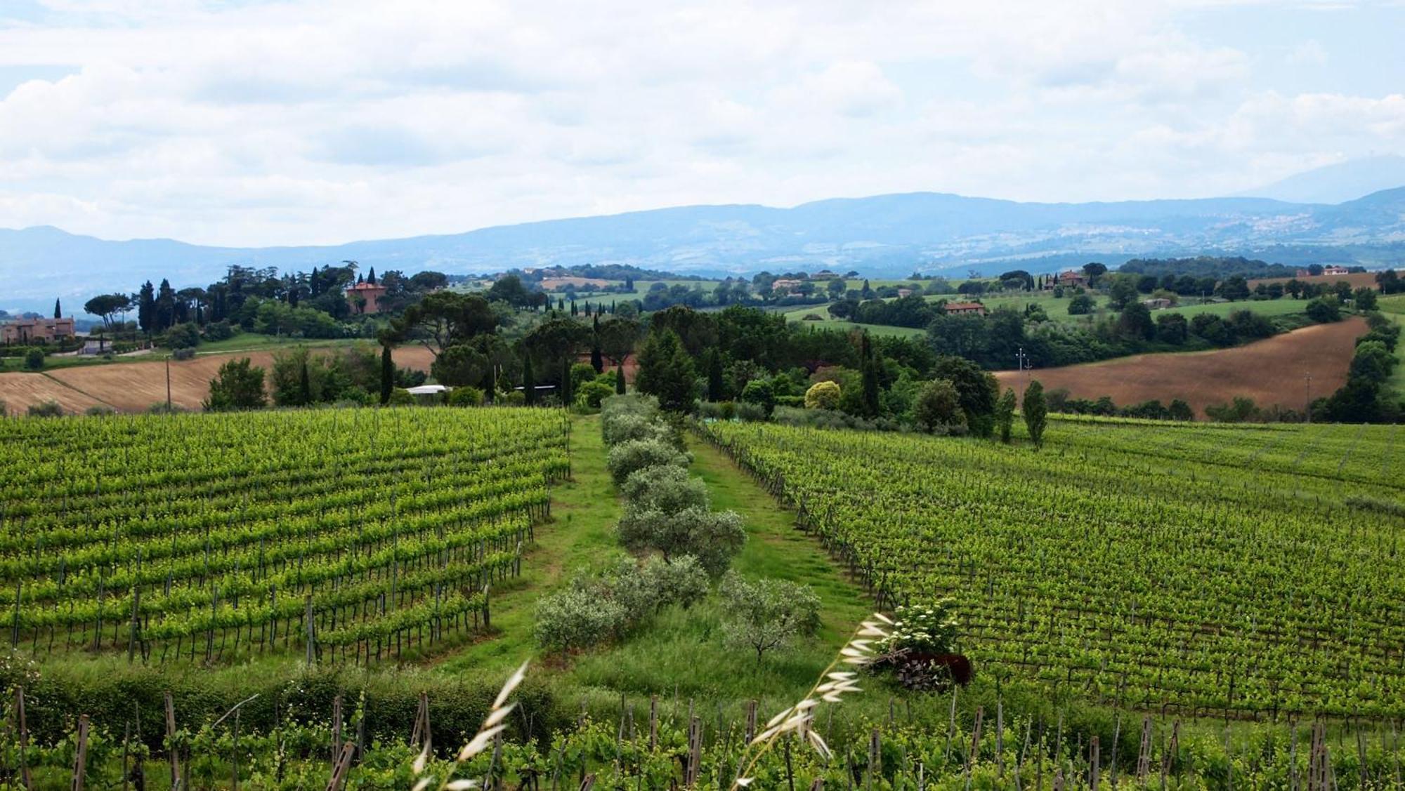 Agriturismo La Terra Valiano Luaran gambar